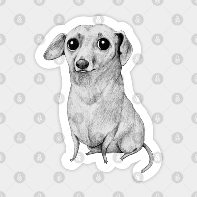 Monochrome Dachshund Sticker by Sophie Corrigan